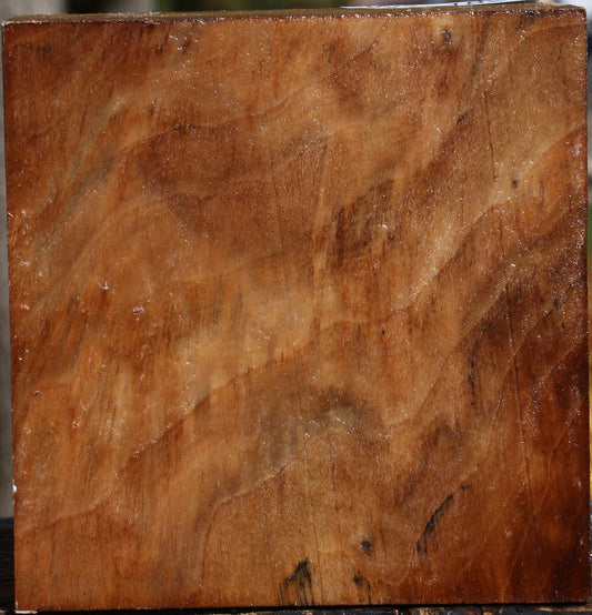 California Cottonwood Bowl Blank