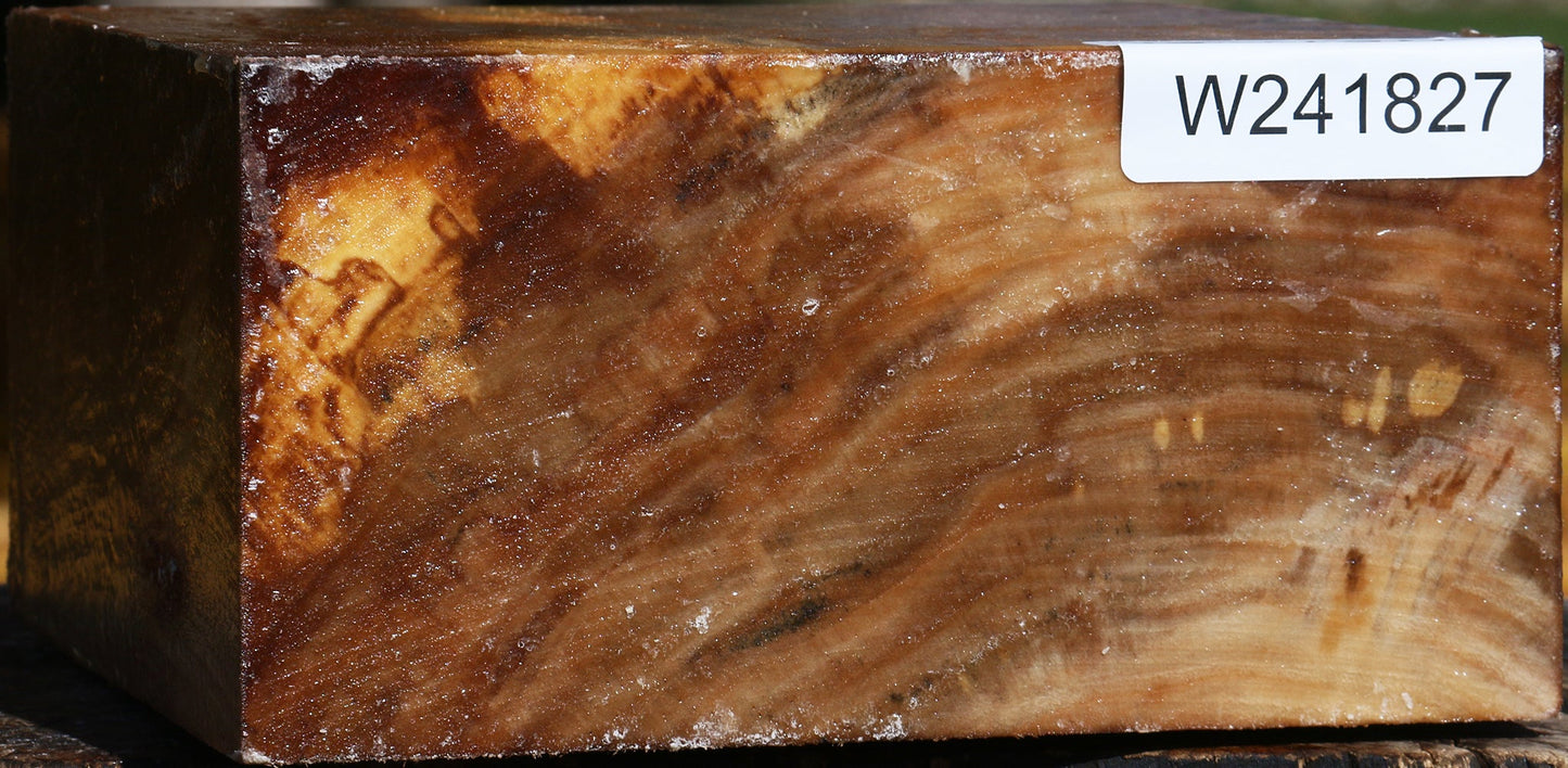 California Cottonwood Bowl Blank