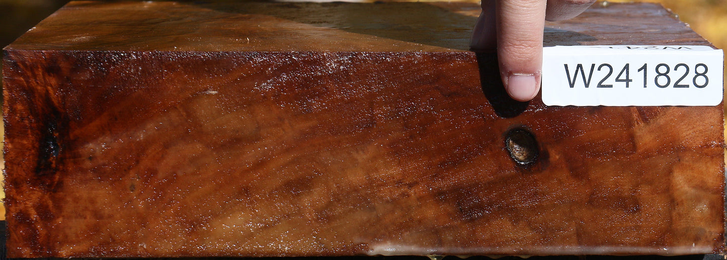 California Cottonwood Burl Bowl Blank