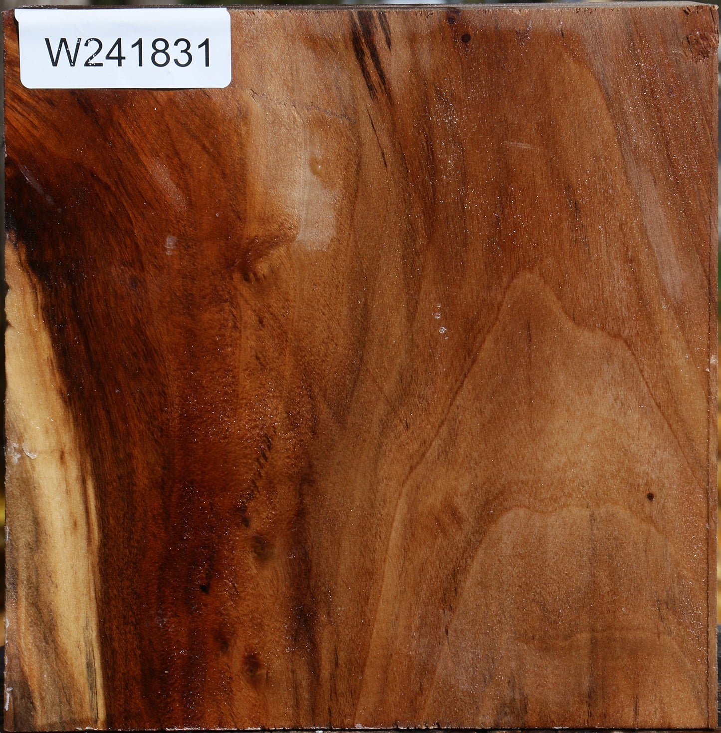 California Cottonwood Bowl Blank