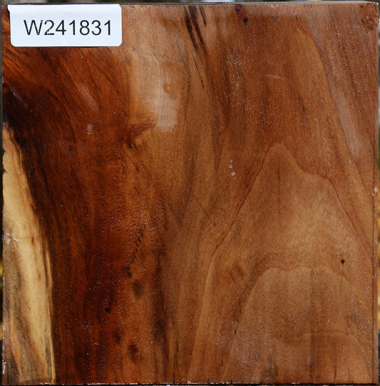 California Cottonwood Bowl Blank