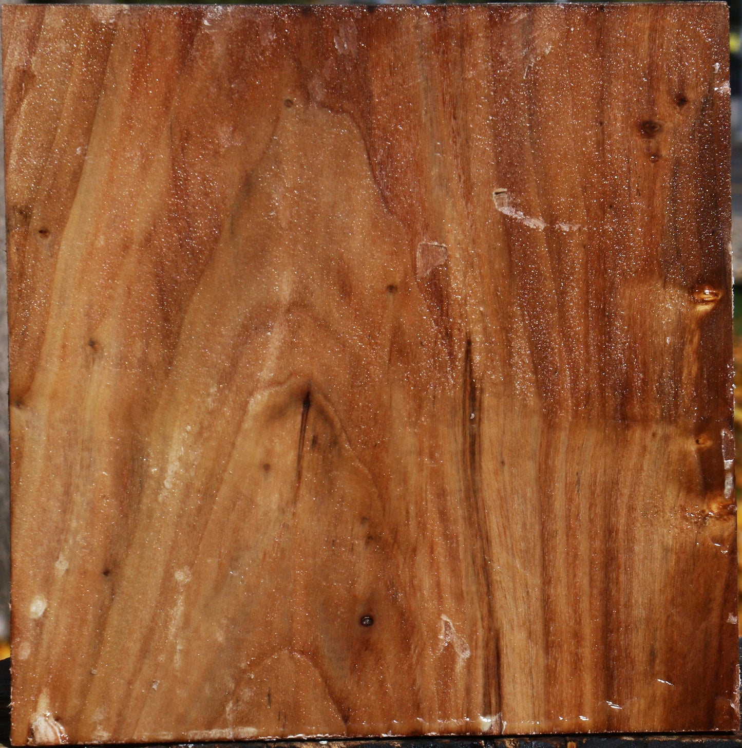 California Cottonwood Bowl Blank