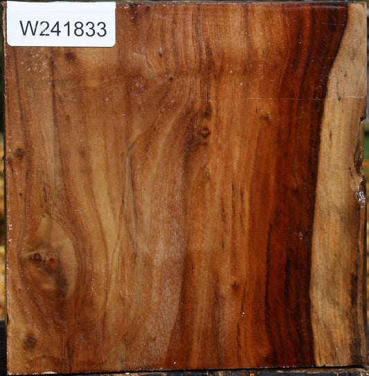 California Cottonwood Bowl Blank