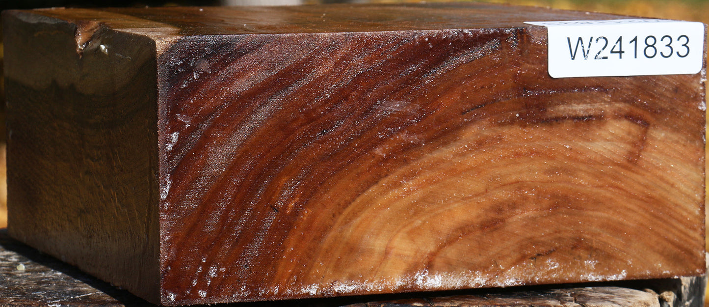 California Cottonwood Bowl Blank