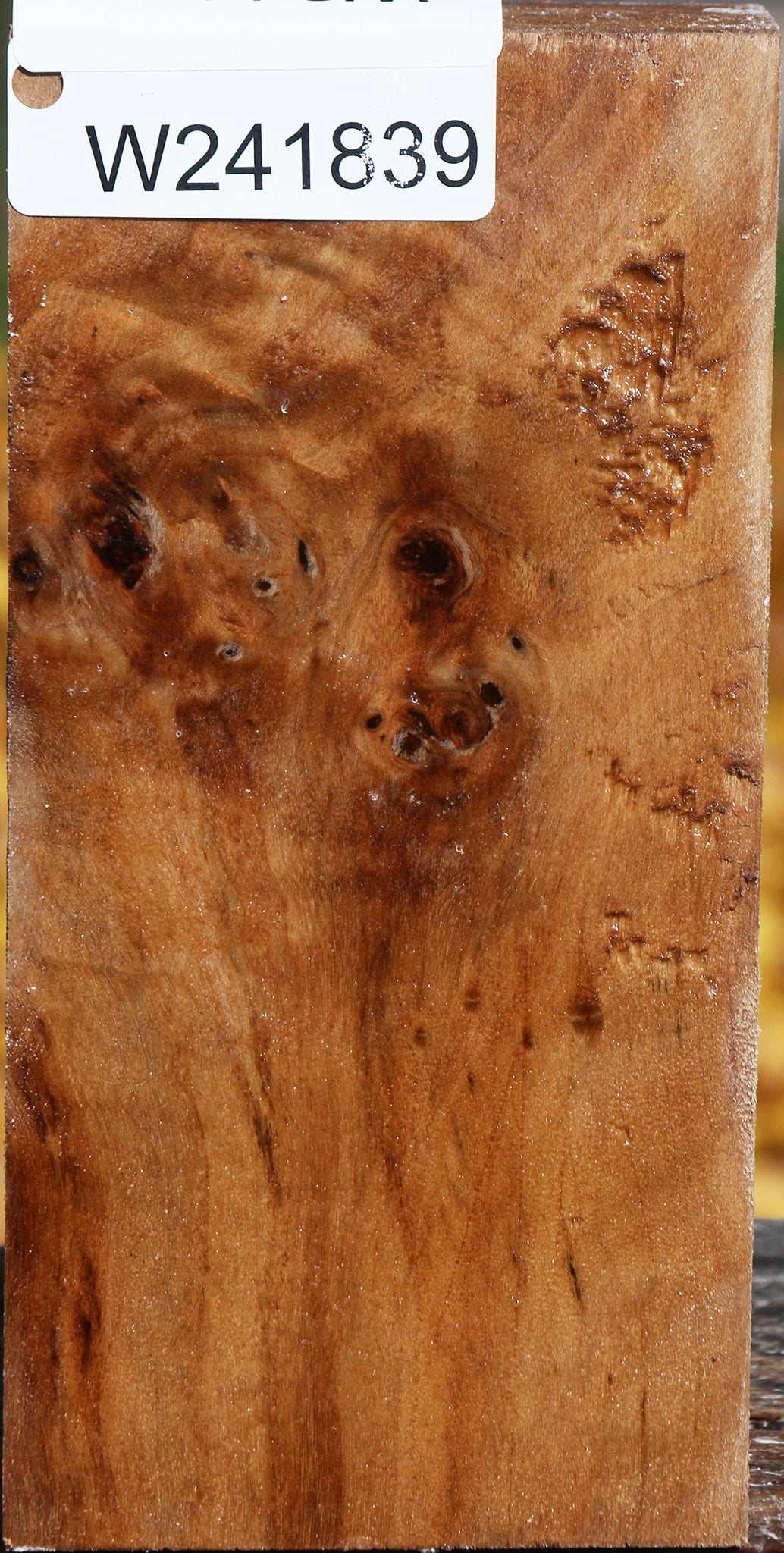 Figured California Cottonwood Turning Square