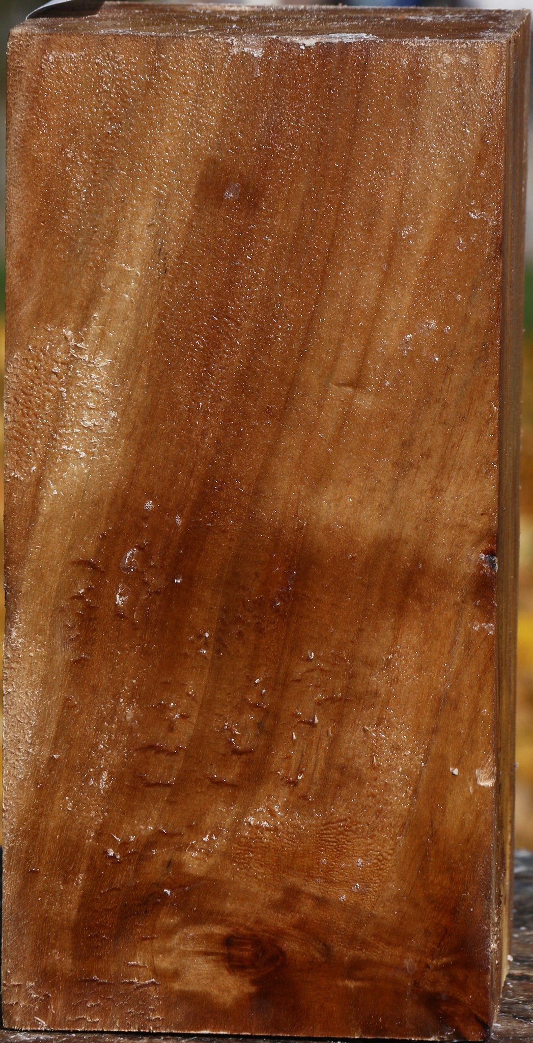 Figured California Cottonwood Turning Square