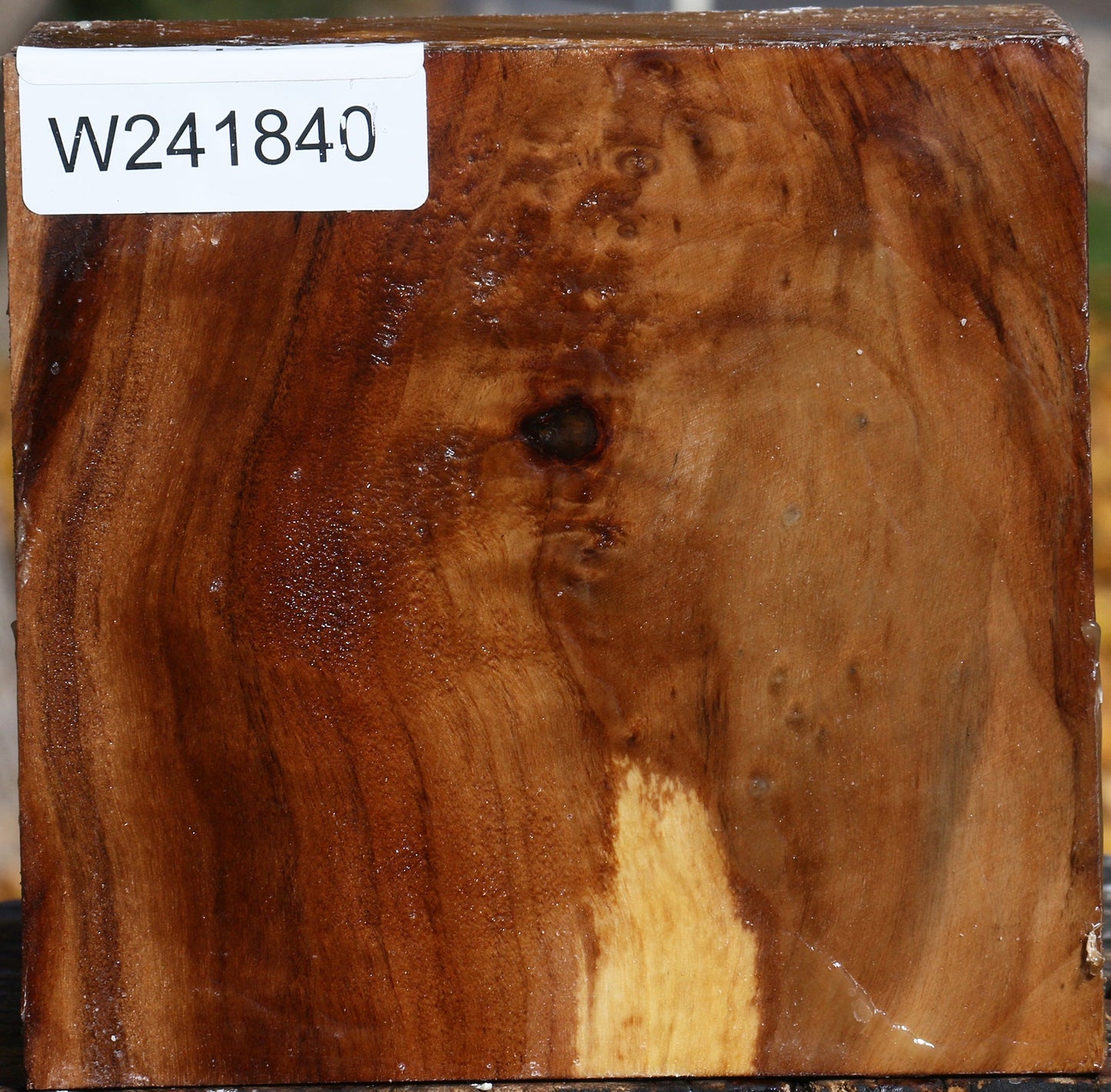 California Cottonwood Bowl Blank