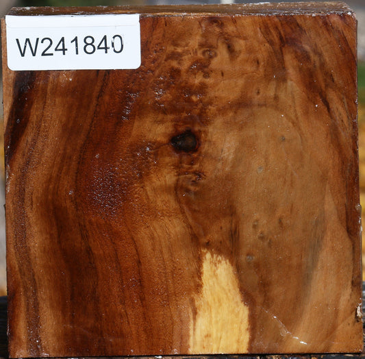 California Cottonwood Bowl Blank