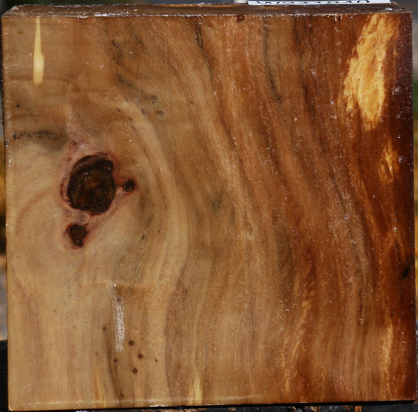 California Cottonwood Bowl Blank