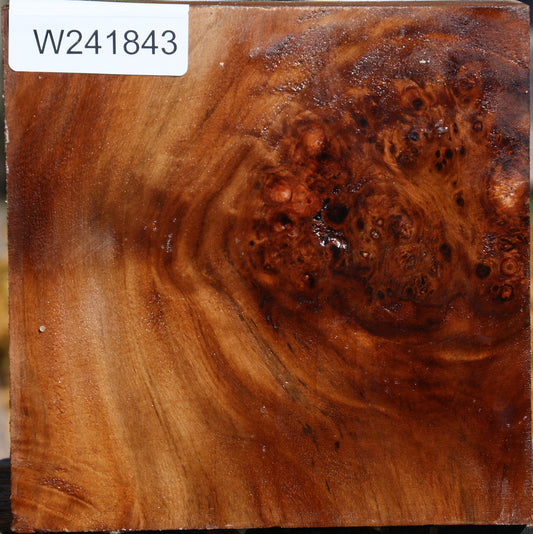 Figured California Cottonwood Bowl Blank