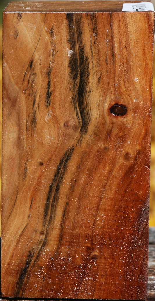 California Cottonwood Turning Square