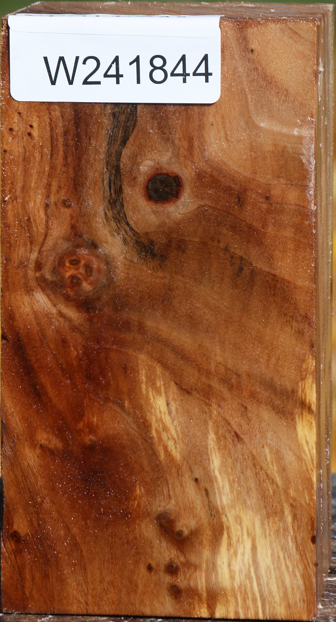 California Cottonwood Turning Square