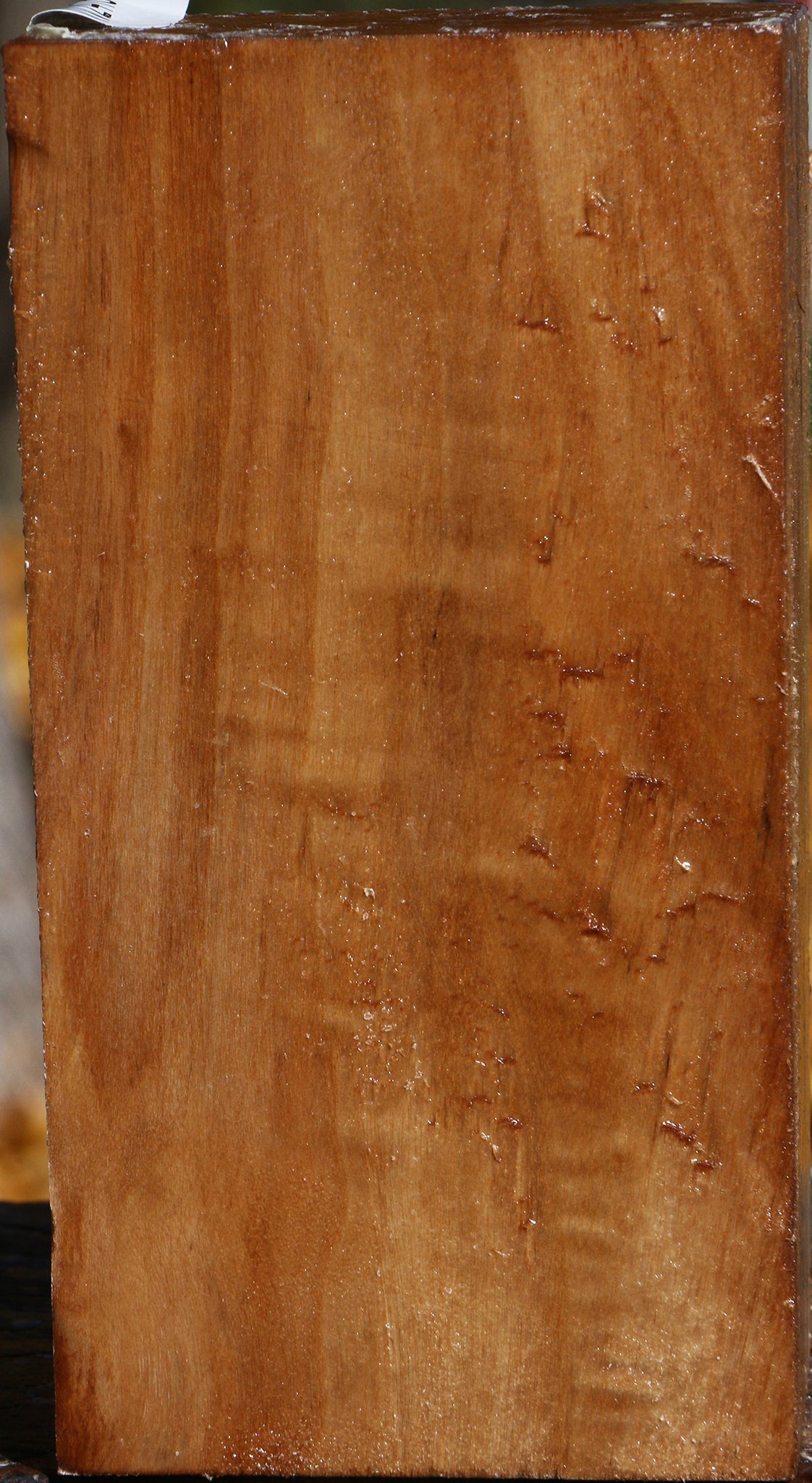 California Cottonwood Turning Square