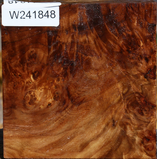 California Cottonwood Burl Bowl Blank