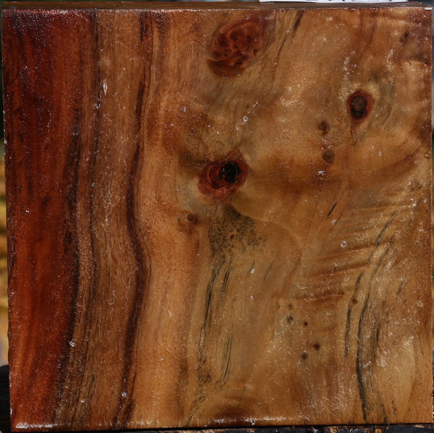 Figured California Cottonwood Bowl Blank