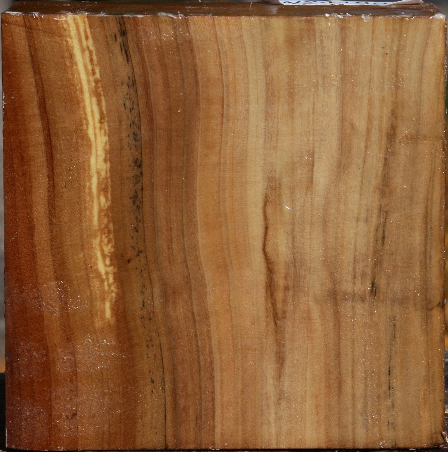 California Cottonwood Bowl Blank