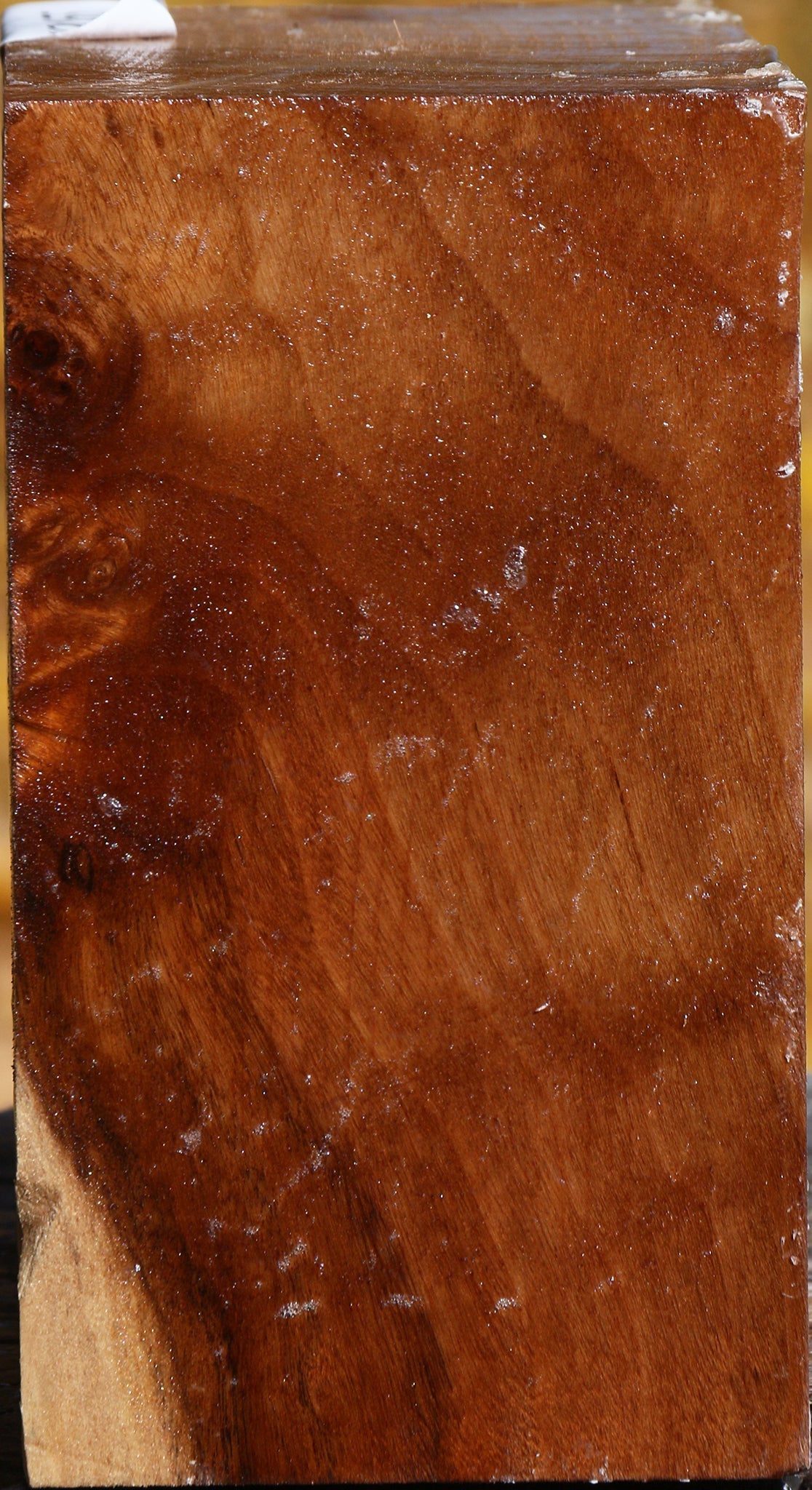 California Cottonwood Bowl Blank