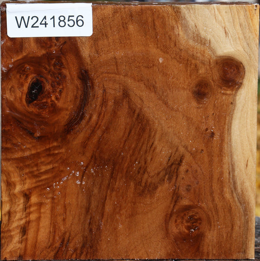 Figured California Cottonwood Bowl Blank