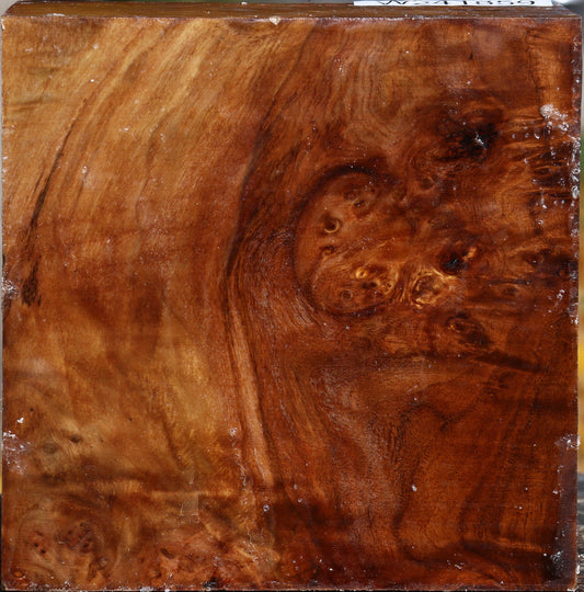 Extra Fancy California Cottonwood Bowl Blank