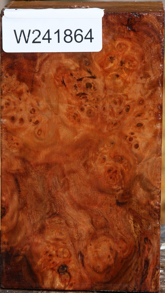 California Cottonwood Burl Turning Blank