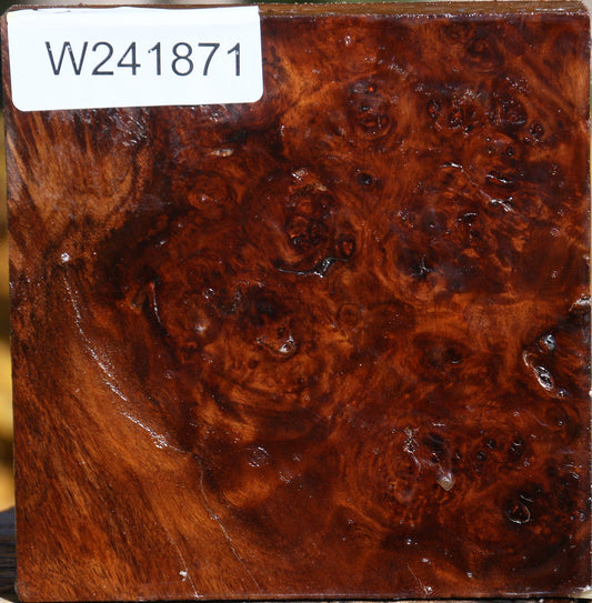 California Cottonwood Burl Bowl Blank