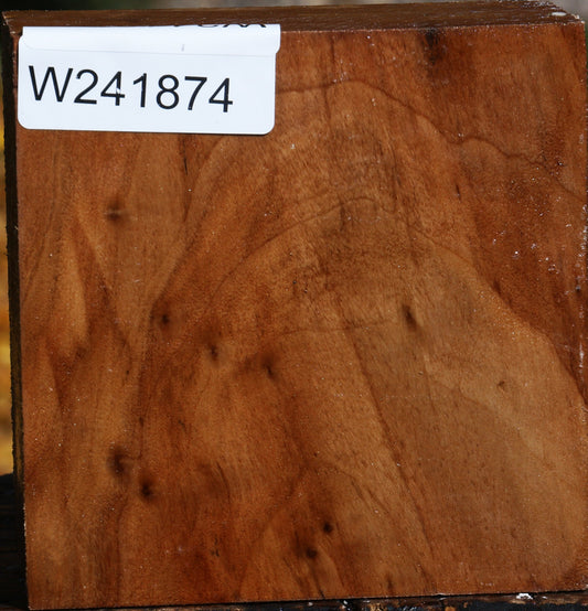 California Cottonwood Bowl Blank