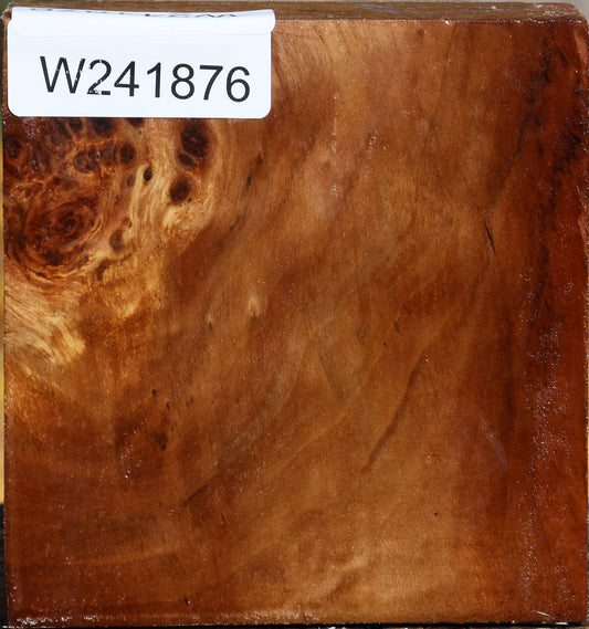 California Cottonwood Bowl Blank