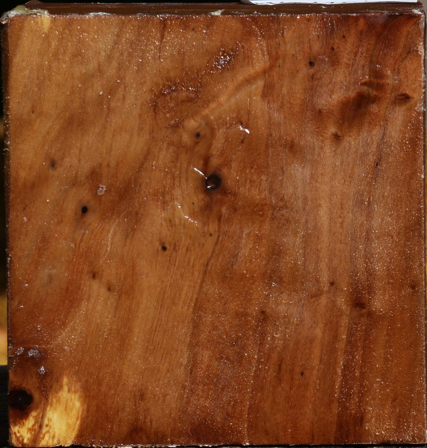 California Cottonwood Bowl Blank