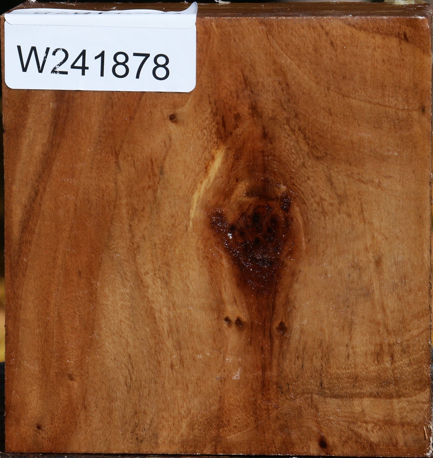 California Cottonwood Bowl Blank