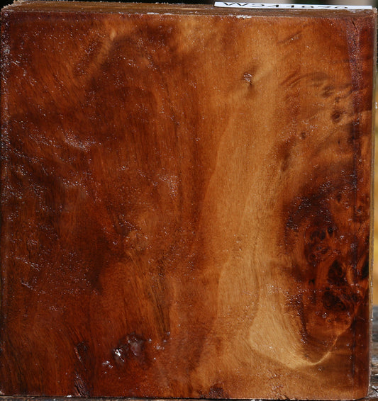 California Cottonwood Bowl Blank