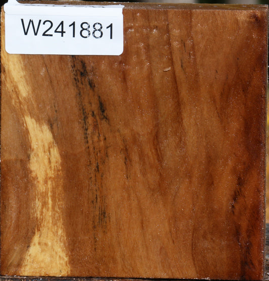 California Cottonwood Bowl Blank