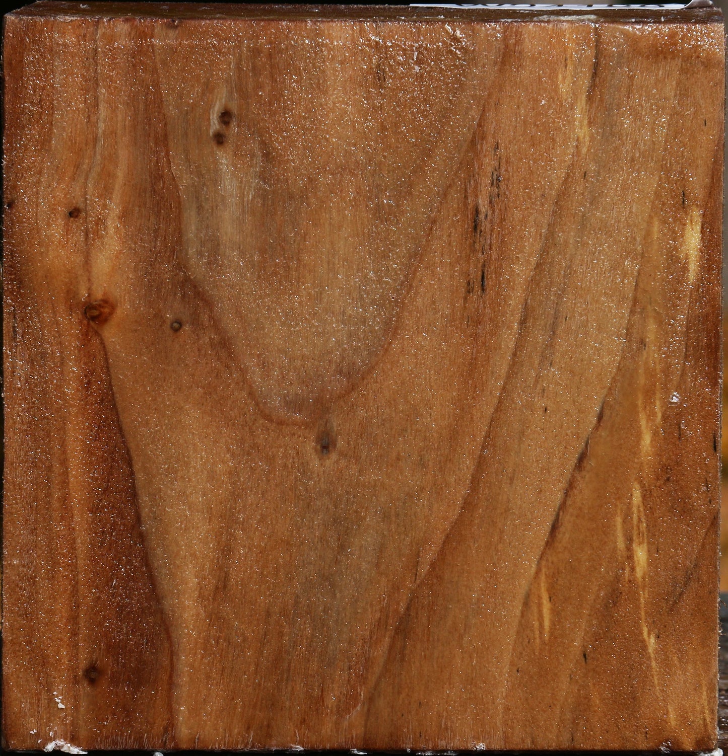 California Cottonwood Bowl Blank