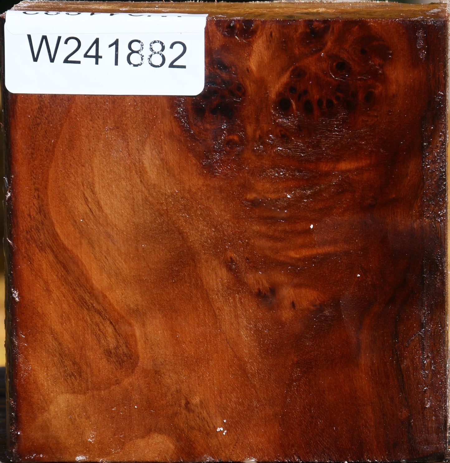 Figured California Cottonwood Bowl Blank