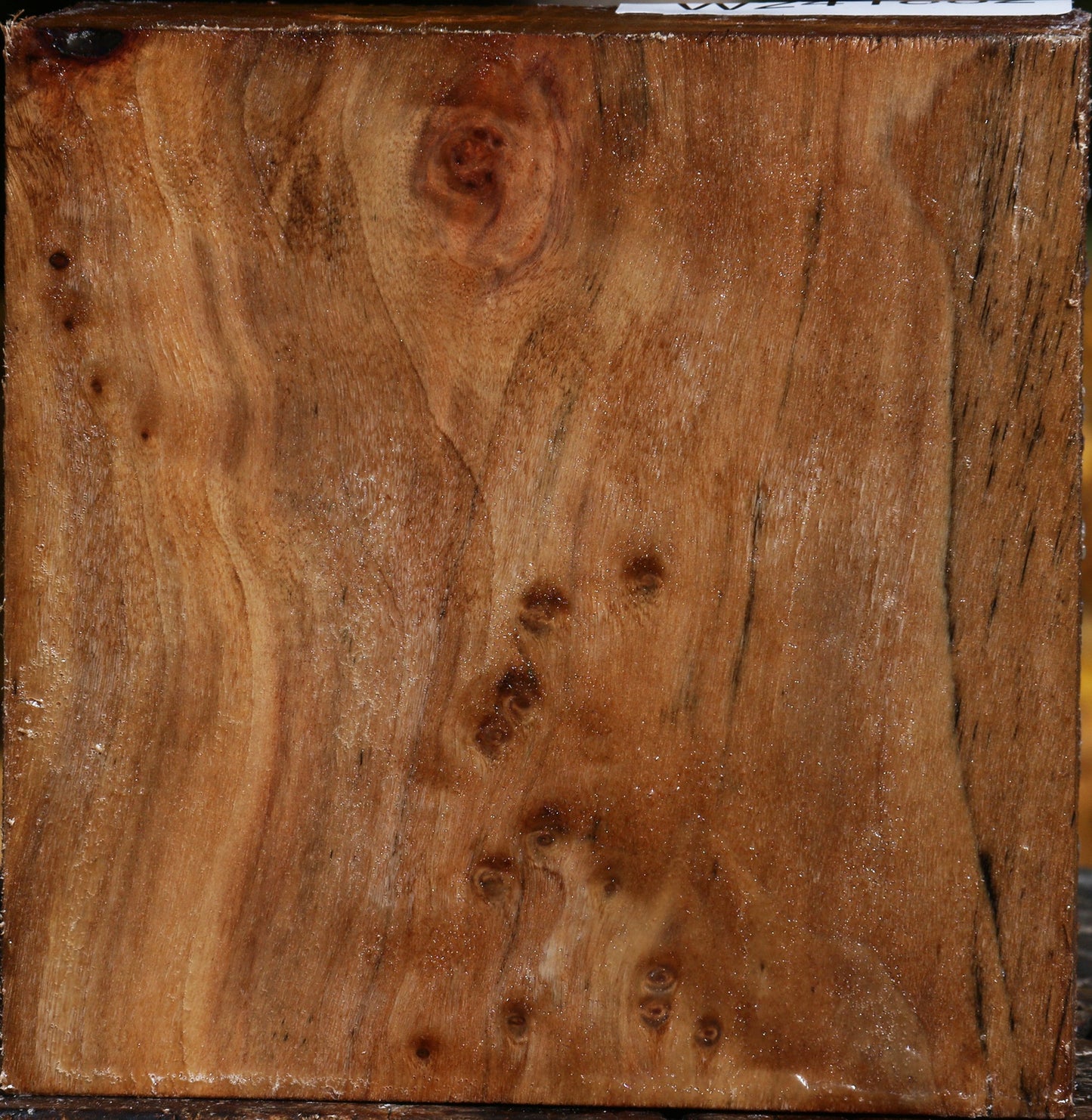 Figured California Cottonwood Bowl Blank