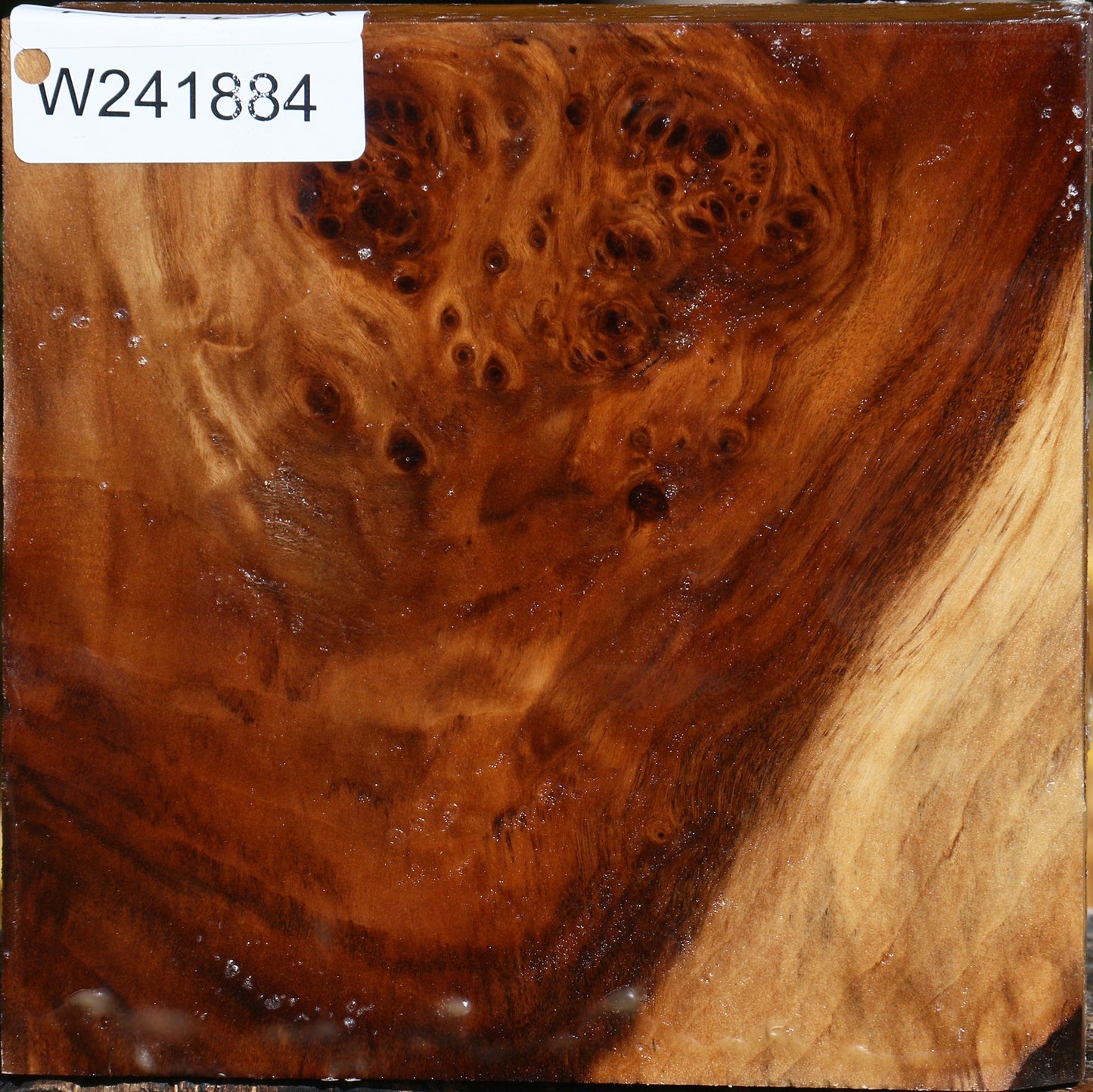 Extra Fancy California Cottonwood Bowl Blank