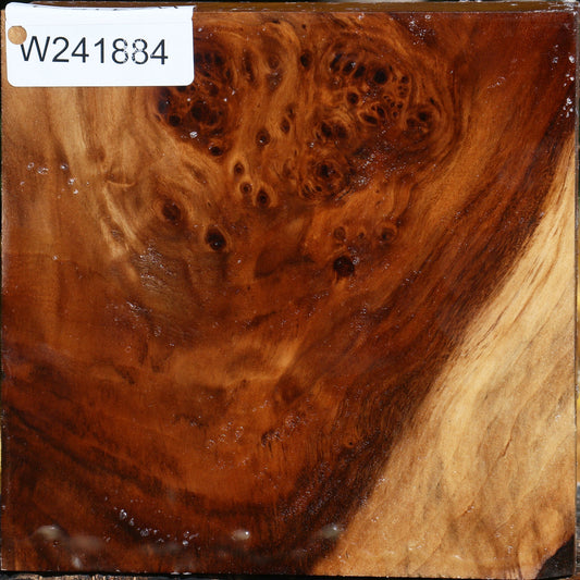 Extra Fancy California Cottonwood Bowl Blank