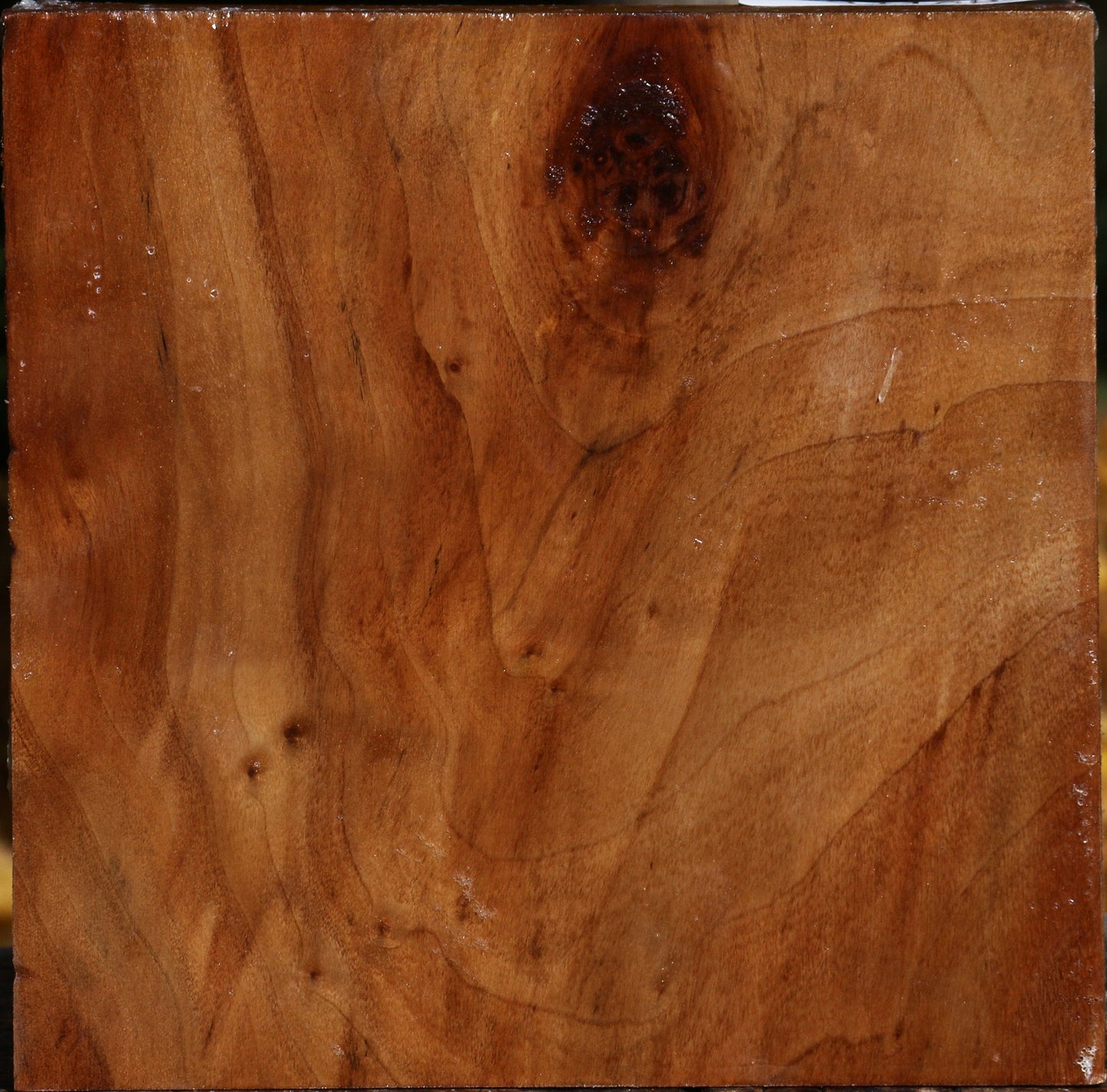 Extra Fancy California Cottonwood Bowl Blank