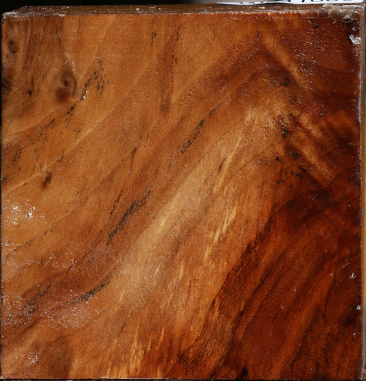 California Cottonwood Bowl Blank