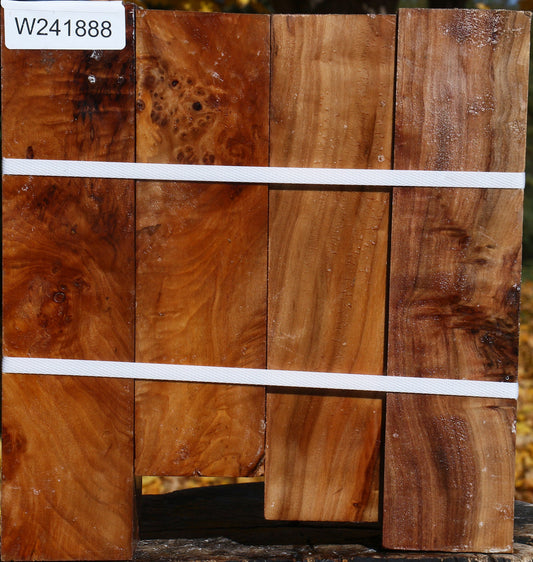 California Cottonwood Peppermill 4 Pack