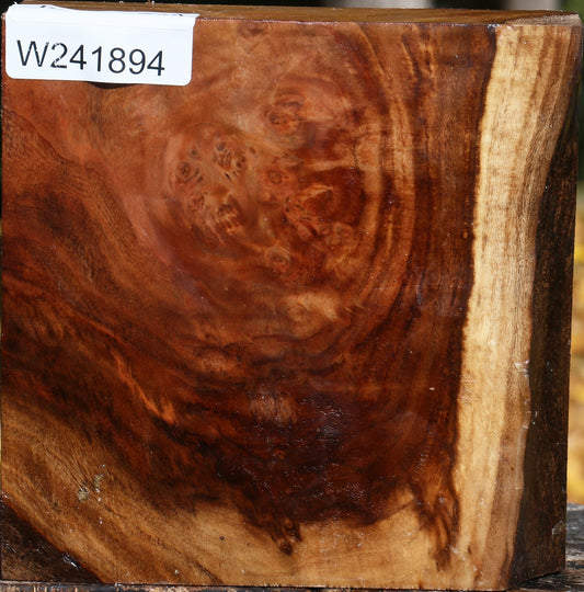 California Cottonwood Bowl Blank