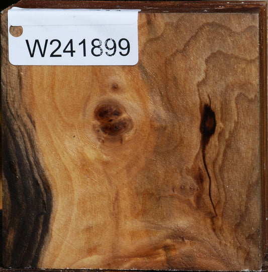 California Cottonwood Bowl Blank