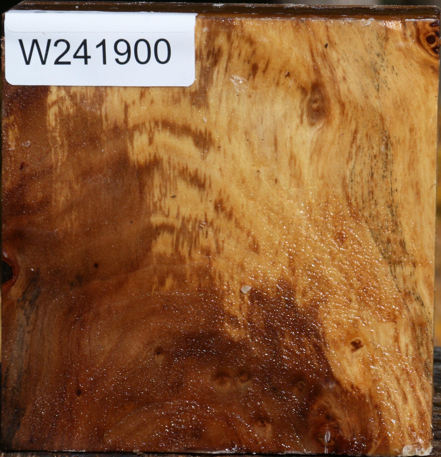 California Cottonwood Bowl Blank