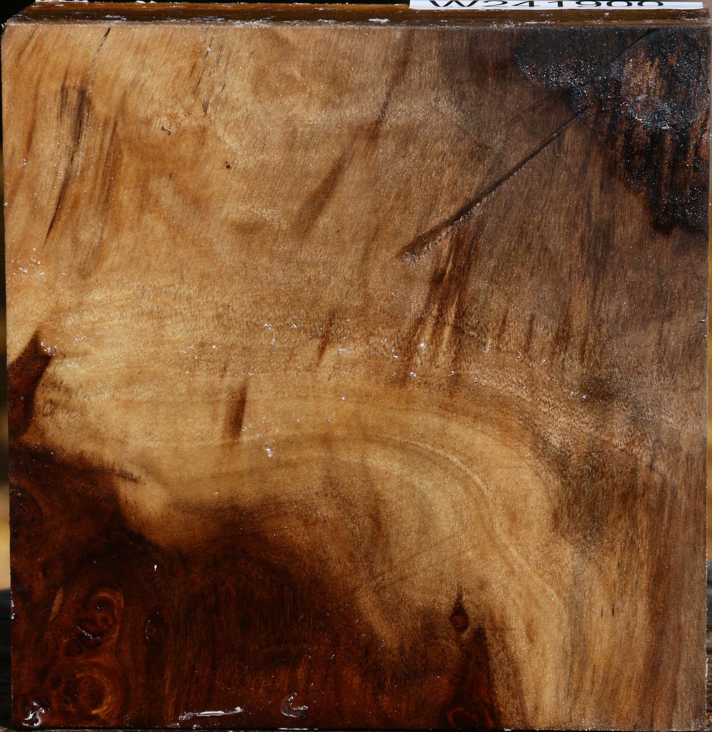 California Cottonwood Bowl Blank