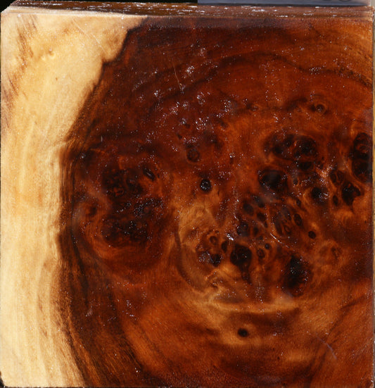 California Cottonwood Burl Bowl Blank