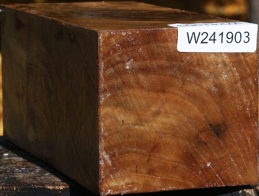 Figured California Cottonwood Vessel Blank