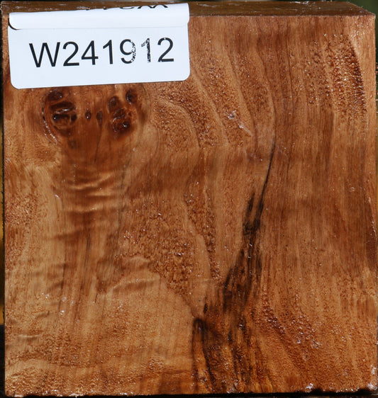 Figured California Cottonwood Bowl Blank