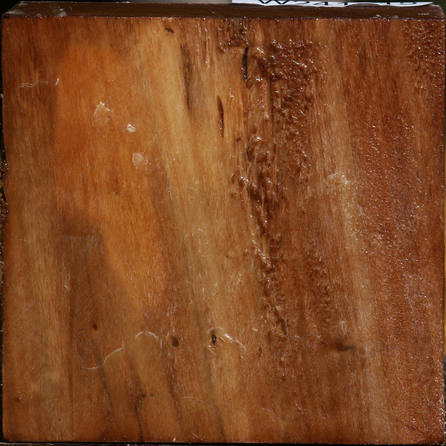 California Cottonwood Bowl Blank