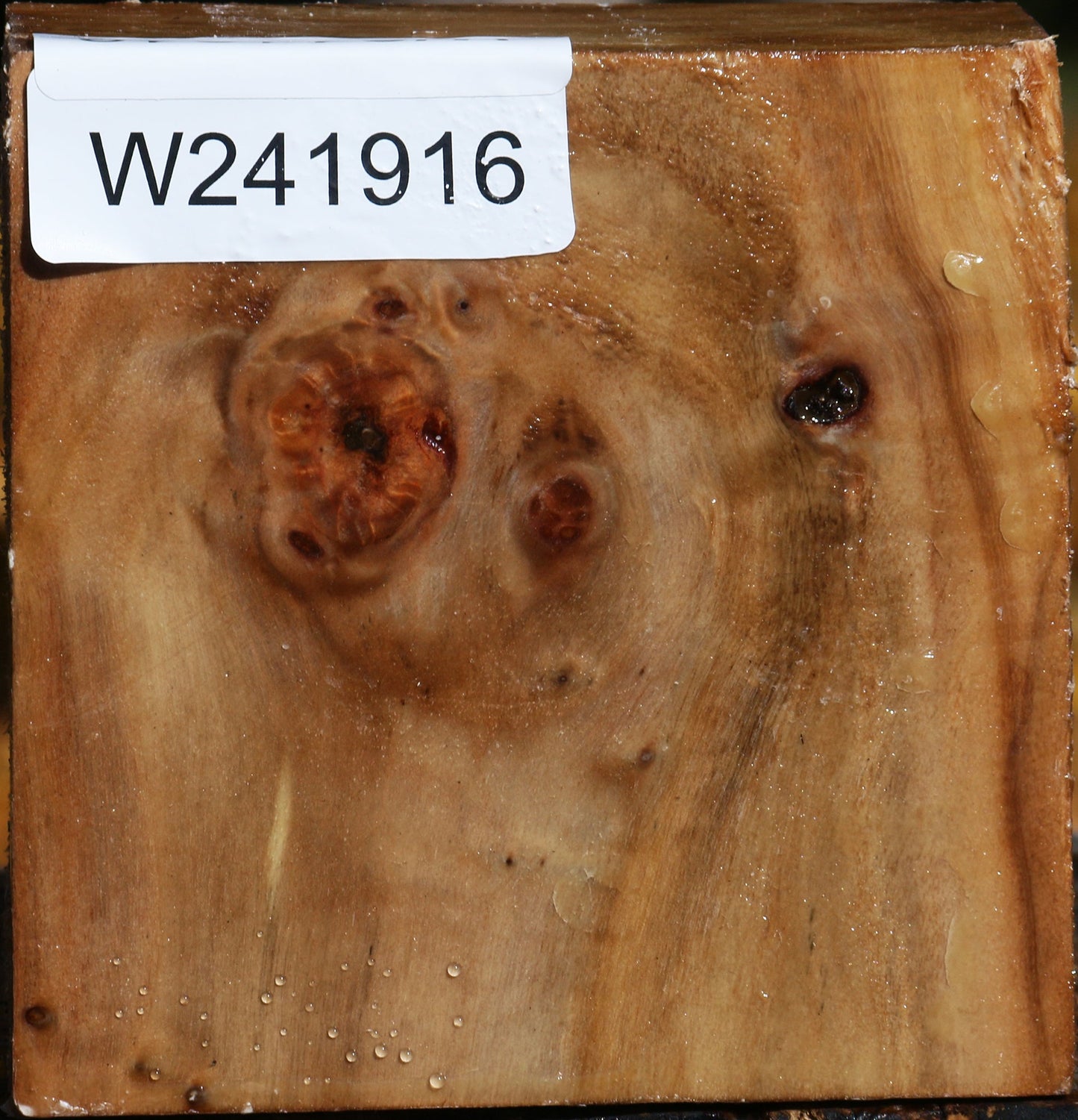 California Cottonwood Bowl Blank