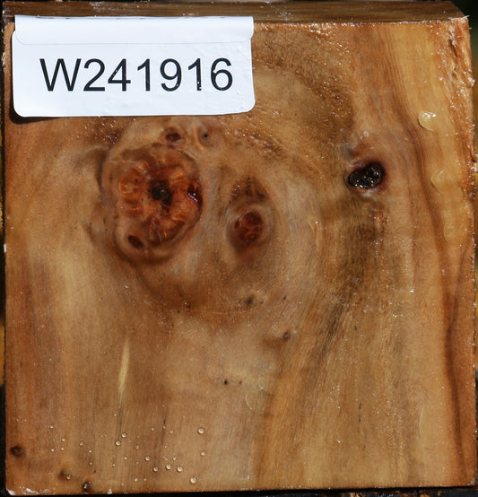 California Cottonwood Bowl Blank