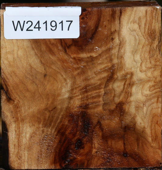 Figured California Cottonwood Bowl Blank